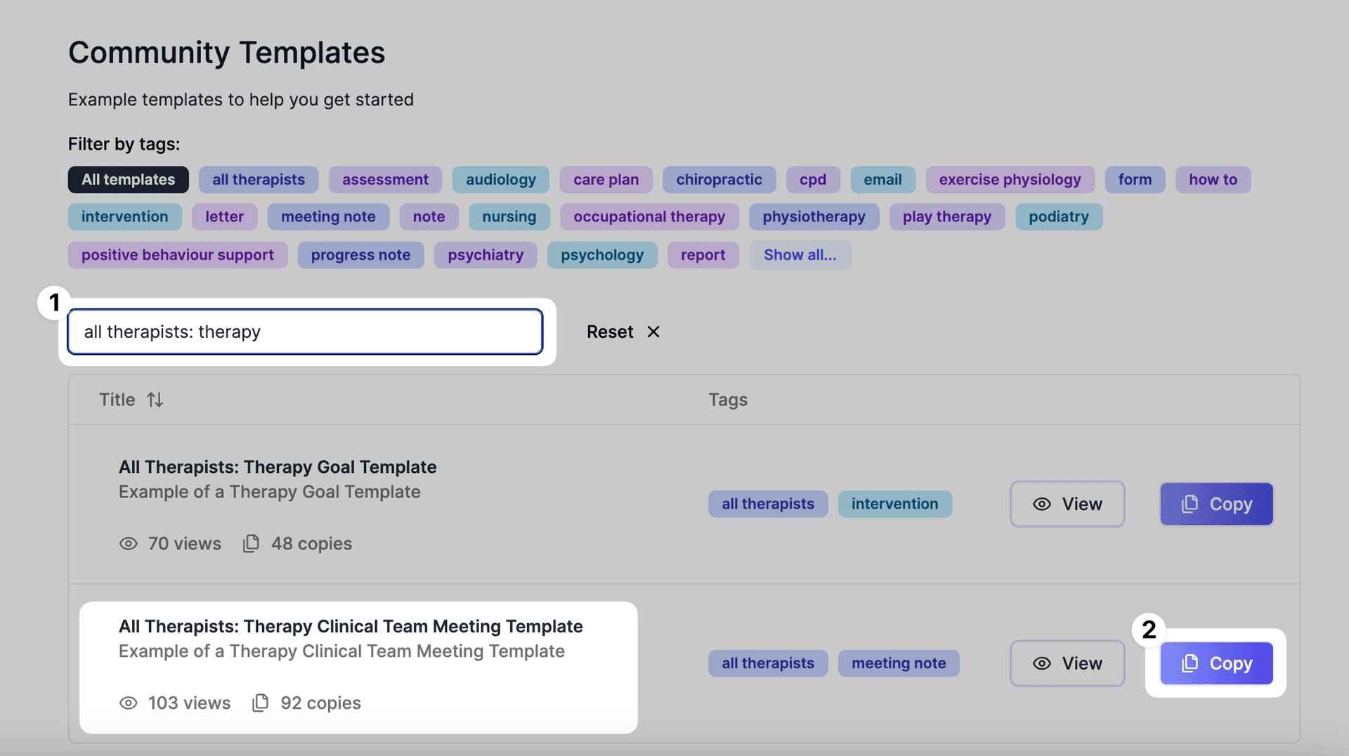 clinical team meeting template